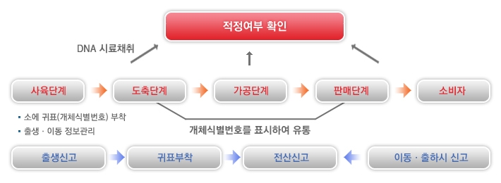 쇠고기 이력추적시스템 흐름